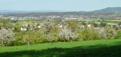 Witterswil
